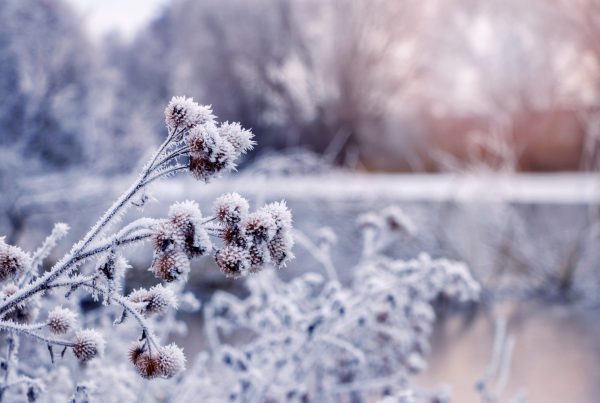 image paysage mag beauté hiver 2025
