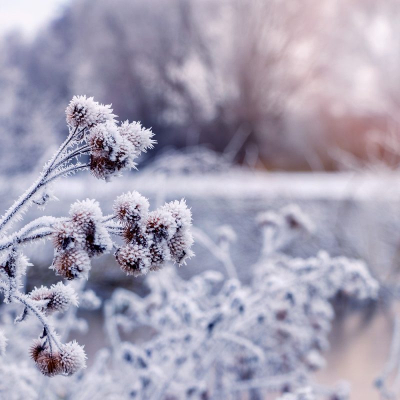 image paysage mag beauté hiver 2025