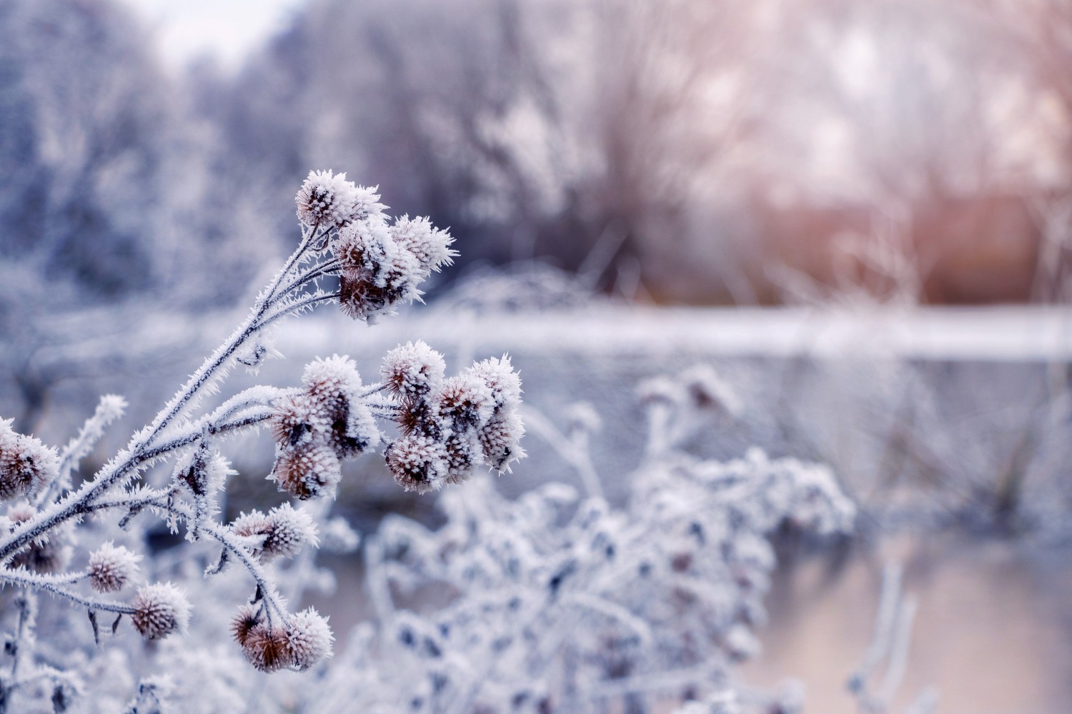 Notre magazine hiver 2025